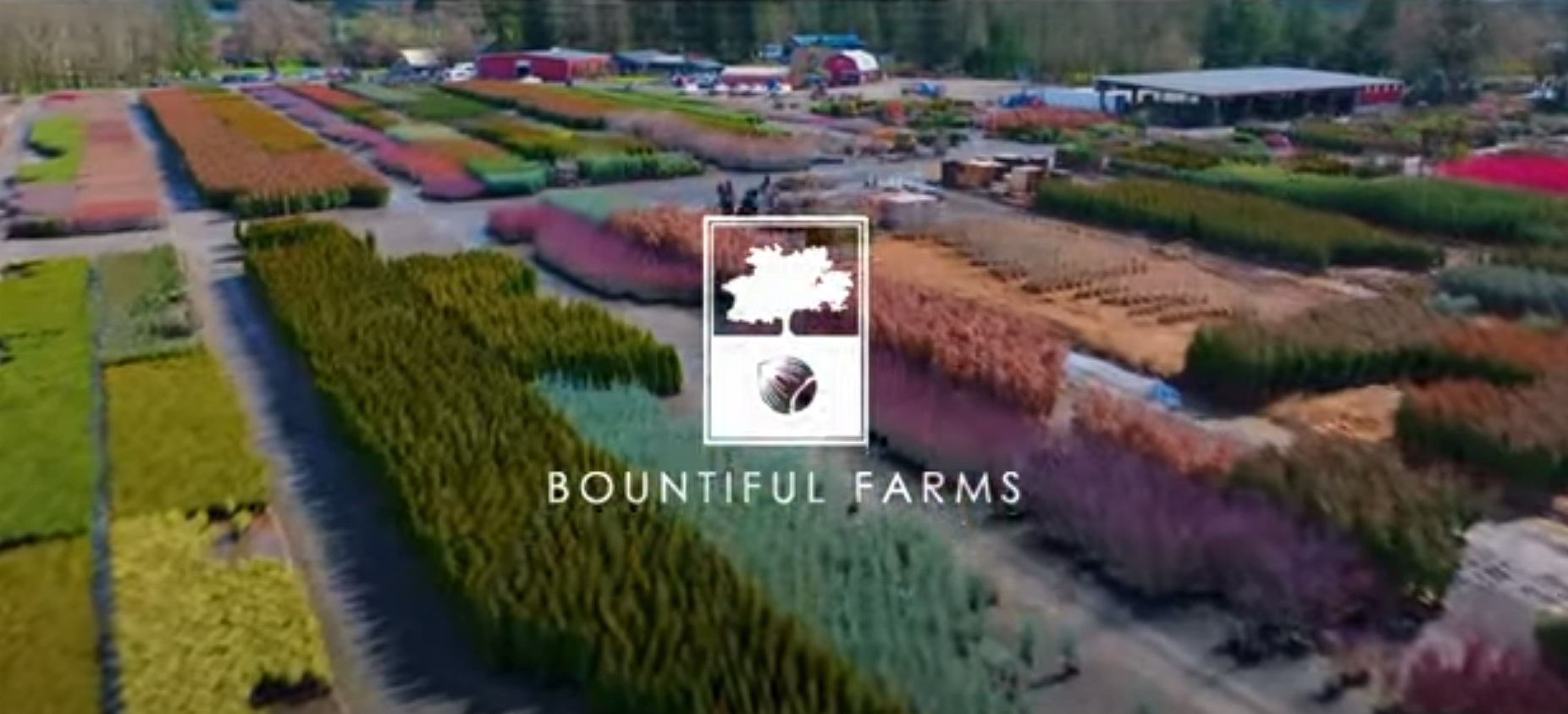 Bountiful Farms