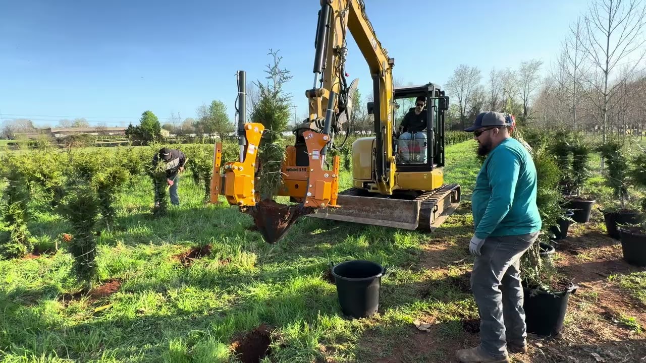 Easy Tree Nursery